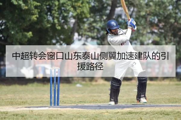 中超转会窗口山东泰山侧翼加速建队的引援路径